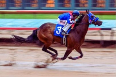 Strategies for Horse Racing Betting Success