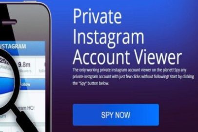 Instalooker - Free Private Instagram Viewer In 2023 [Complete Guide]
