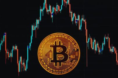 Volatility and Price Predictions Navigating the Bitcoin Rollercoaster