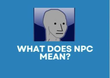 NPC MEANING