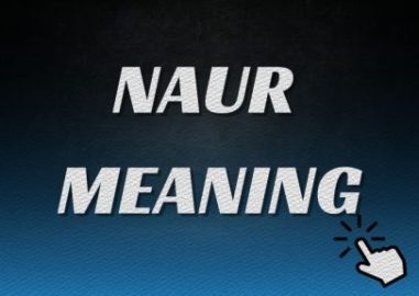Naur Meaning